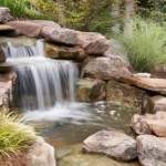A waterfall makes an attractive addition to a water garden.